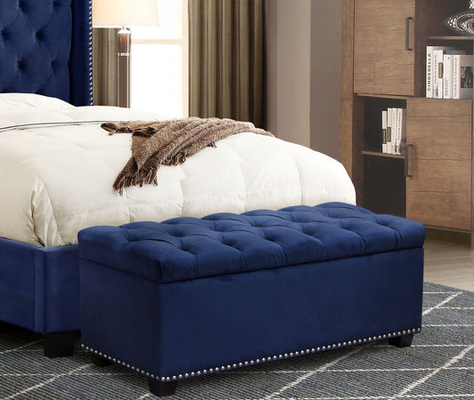 Magnificant Storage Trunk